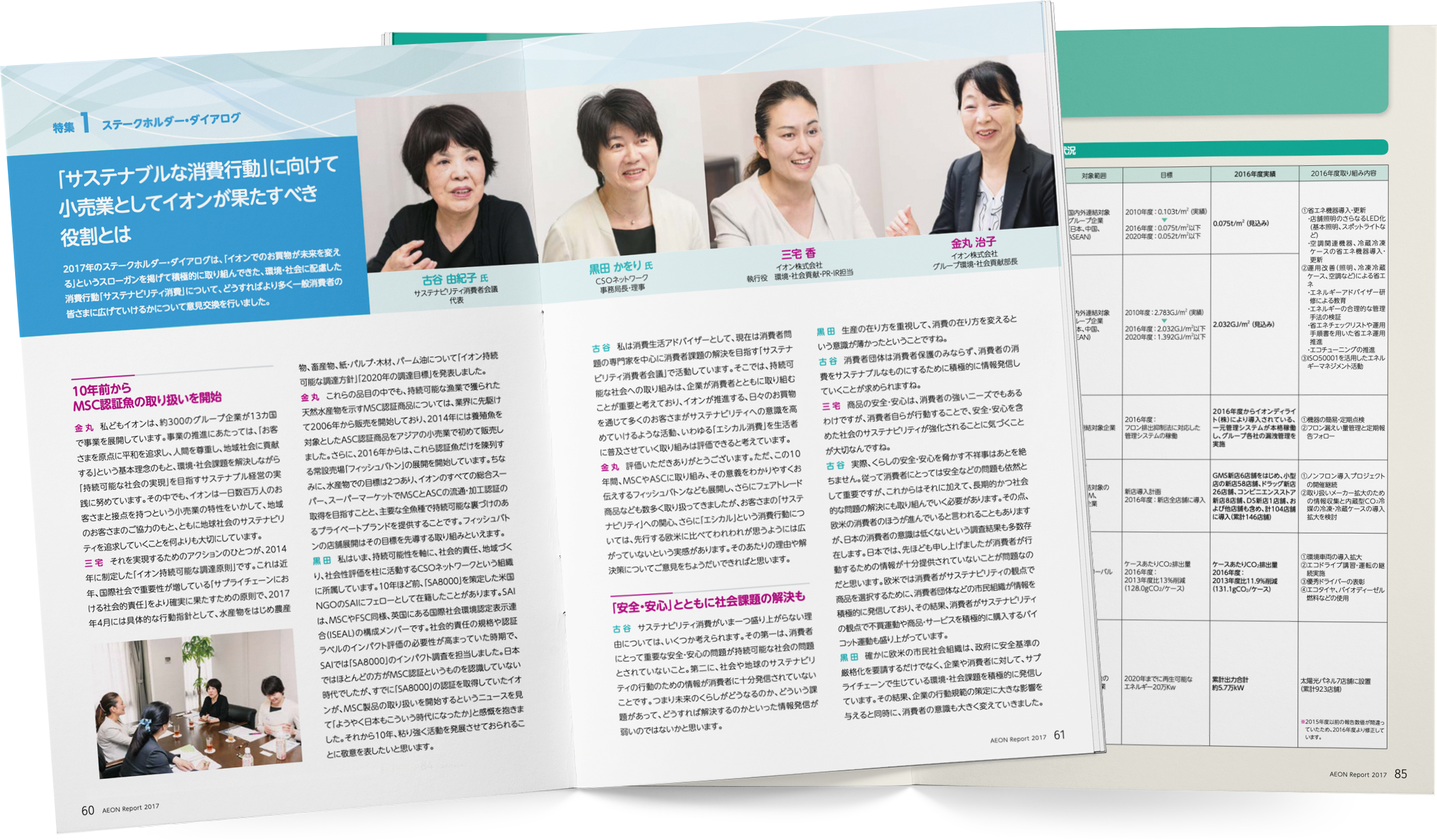 イオン AEON Report 2017
